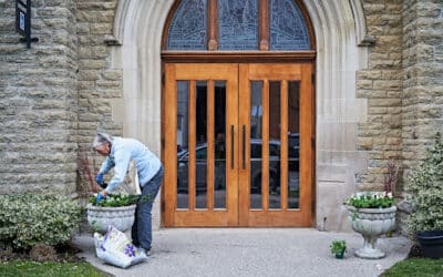 Luxury Solid Wood French Door with Glass | Features & Price